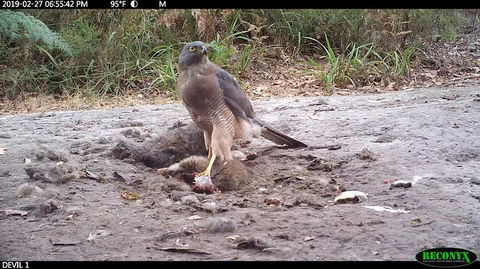 Devil Hide (Overnight Stay, $495 For Up To 3 People) - Darwin Holiday 3