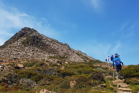 Hartz Peak Hiking Tour - Hartz Mountains National Park - Darwin Holiday 0