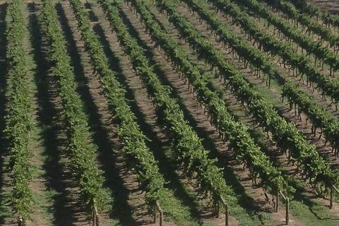 Full Day 'Two Valleysâ€™- Derwent & Huon Grazing Tour - Darwin Holiday 0
