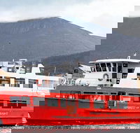 Mt Wellington and Harbour Cruise combo - Darwin Holiday