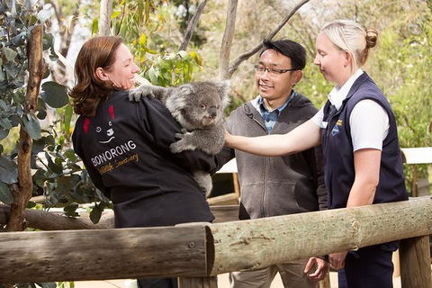 3 Of Hobart's Best Experiences In One Day - Mt Wellington, Richmond And Bonorong - Darwin Holiday 0