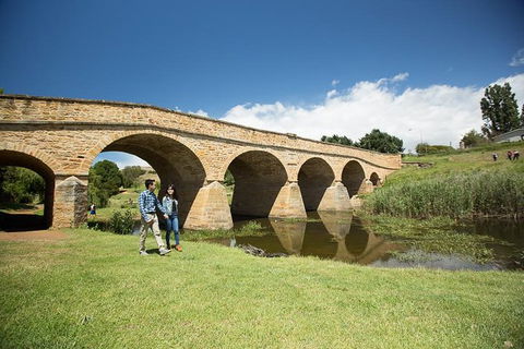 3 Of Hobart's Best Experiences In One Day - Mt Wellington, Richmond And Bonorong - Darwin Holiday 1