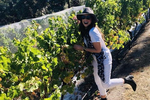 Valleys Of Vino Tour - Darwin Holiday 1