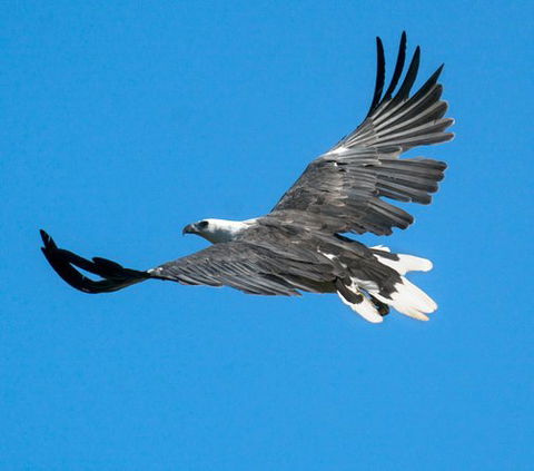 Wildlife Day Tour (4+ Hours, $195 Per Person) - Darwin Holiday 1