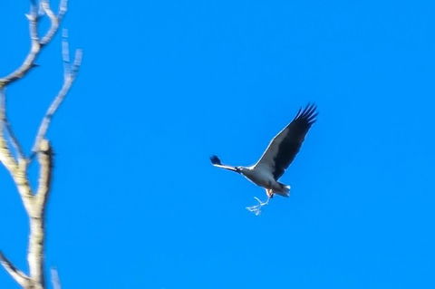 Wildlife Day Tour (4+ Hours, $195 Per Person) - Darwin Holiday 11