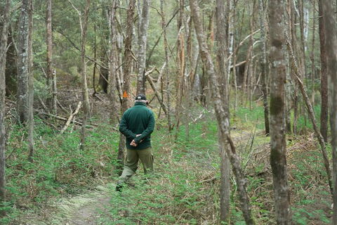 Wildlife Day Tour (4+ Hours, $195 Per Person) - Darwin Holiday 12