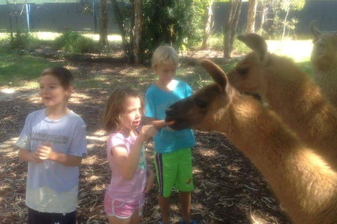 Unguided Family Llama Walk - Darwin Holiday 0
