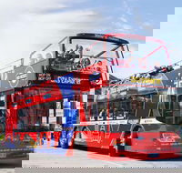 Kunanyi/Mt Wellington Tour  Hobart Hop-On Hop-Off Bus - Darwin Holiday
