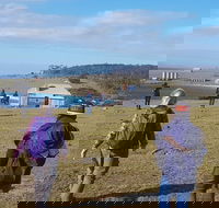 4-Day Hobart Adventure Tour Maria Island Cape Raoul Mount Field Cape Hauy - Darwin Holiday
