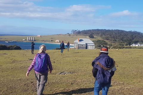 4-Day: Hobart Adventure Tour: Maria Island, Cape Raoul, Mount Field, Cape Hauy - Darwin Holiday 0