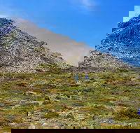 3-Day Hobart Adventure Tour Mount Field Cape Hauy and Hartz Peak - Darwin Holiday