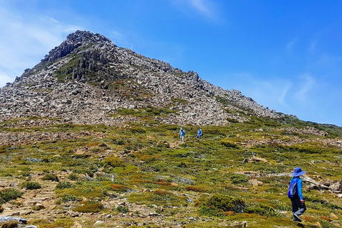 3-Day: Hobart Adventure Tour: Mount Field, Cape Hauy And Hartz Peak - Darwin Holiday 0