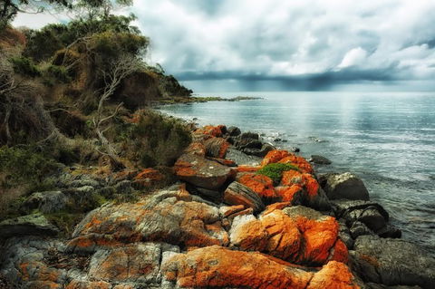 Hobart\'s Best: City, Nature, Wildlife, And Fine Cuisine - Darwin Holiday 6