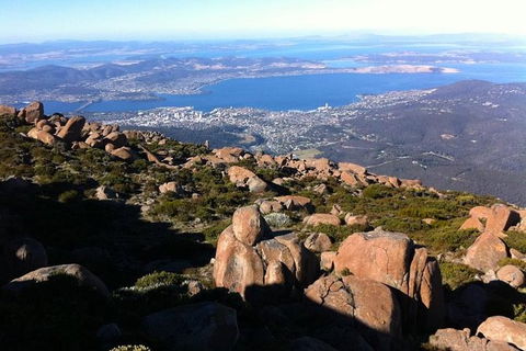 Mt Wellington ULTIMATE Tour, Most Comprehensive/ Best Value - Darwin Holiday 1