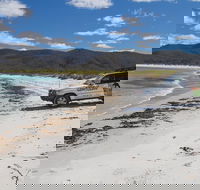 4X4 and Lunch Half Day Bicheno Coastal Mountain - Darwin Holiday