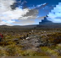 6-Day Overland Track PhotoTour - Darwin Holiday