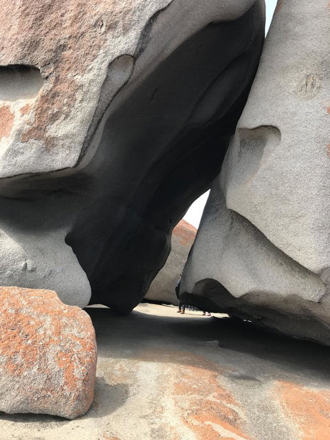 Kangaroo Island In A Day Tour From Adelaide - Darwin Holiday 7