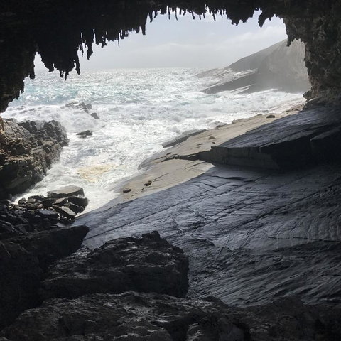 Kangaroo Island In A Day Tour From Adelaide - Darwin Holiday 5