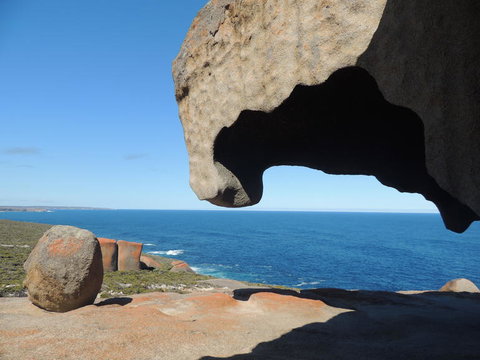 Kangaroo Island In A Day Tour From Adelaide - Darwin Holiday 13