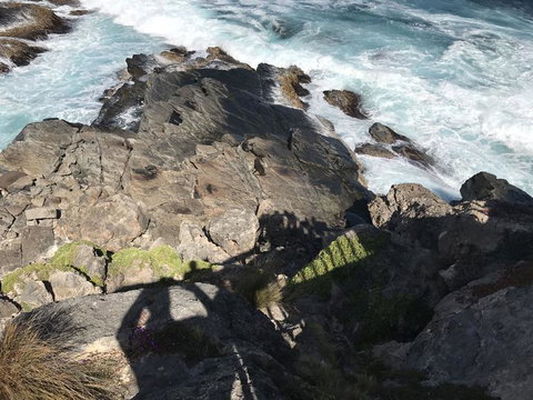 Kangaroo Island In A Day Tour From Adelaide - Darwin Holiday 3