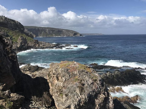 Kangaroo Island In A Day Tour From Adelaide - Darwin Holiday 4