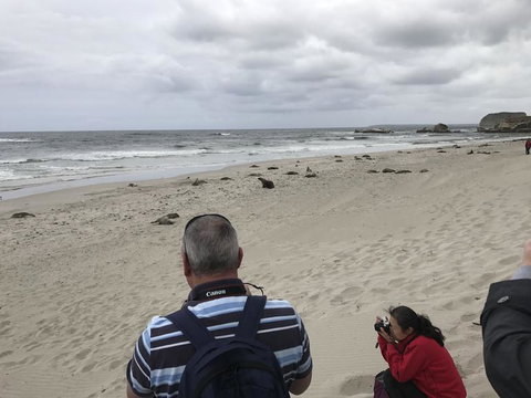 Kangaroo Island In A Day Tour From Adelaide - Darwin Holiday 10