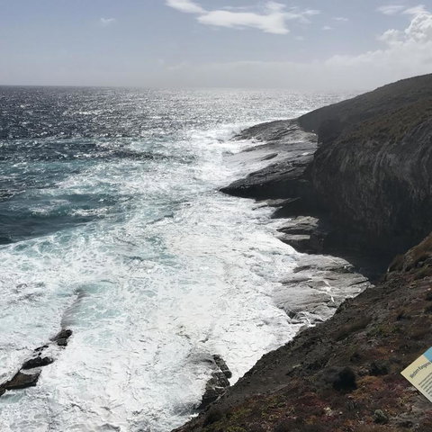 Kangaroo Island In A Day Tour From Adelaide - Darwin Holiday 6