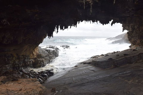 Kangaroo Island In A Day Tour From Adelaide - Darwin Holiday 18