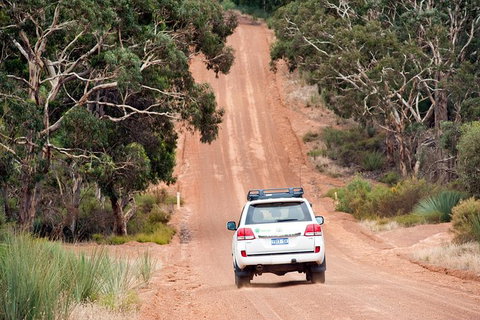 Small-Group Kangaroo Island 4WD Tour From Adelaide - Darwin Holiday 7