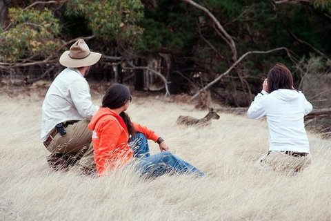 Small-Group Kangaroo Island 4WD Tour From Adelaide - Darwin Holiday 6