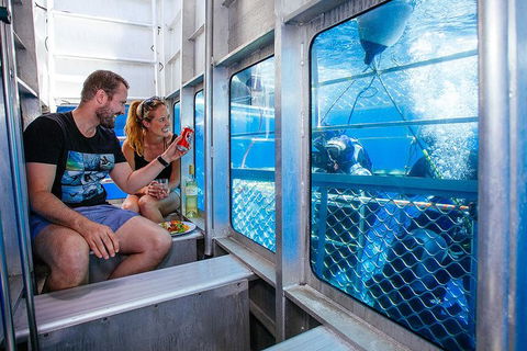White Shark Tour With Optional Cage Dive From Port Lincoln - Darwin Holiday 4