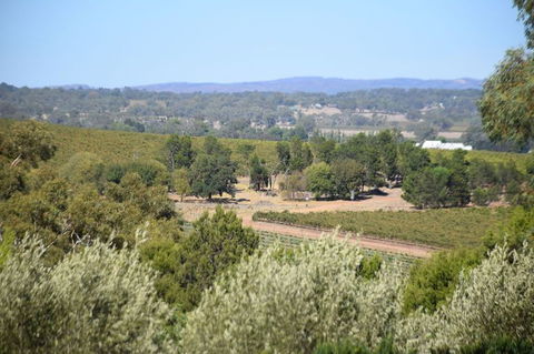 Barossa Valley Food And Wine Tour - Darwin Holiday 2