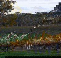 Barossa Valley with Hahndorf Tour from Adelaide - Darwin Holiday