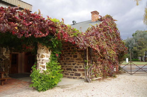 Barossa Valley Wineries Tour With Tastings And Lunch From Adelaide - Darwin Holiday 3