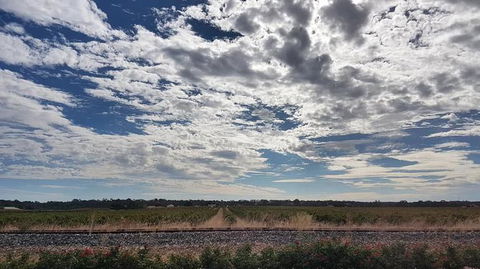 Barossa Valley Full-Day Tour From Adelaide With Maggie Beer Farm - Darwin Holiday 3
