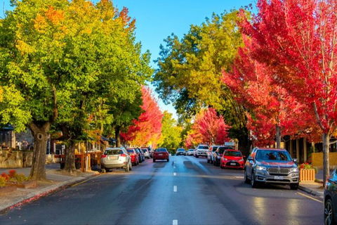 Barossa Valley Full-Day Tour From Adelaide With Maggie Beer Farm - Darwin Holiday 6