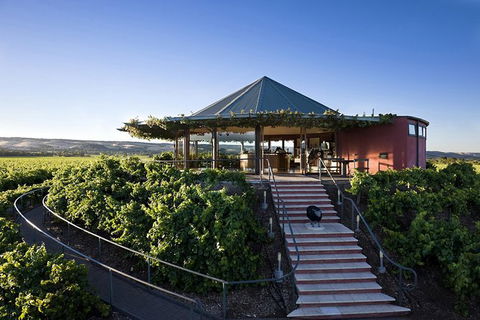 McLaren Vale Hop-On Hop-Off Winery Tour From Adelaide - Darwin Holiday 6