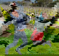 Mclaren Vale Luxury Full Day Small Group Wine Tour - Darwin Holiday