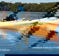 Adelaide Dolphin Sanctuary and Ships Graveyard Kayak Tour - Darwin Holiday