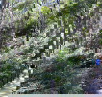 Self-Guided Waterfall Gully to Mount Lofty Hike from Adelaide - Darwin Holiday