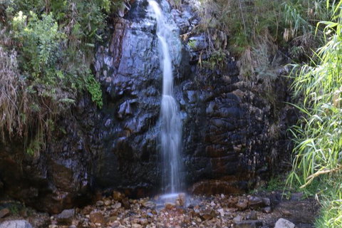 Self-Guided Waterfall Gully To Mount Lofty Hike From Adelaide - Darwin Holiday 2