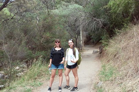 Self-Guided Waterfall Gully To Mount Lofty Hike From Adelaide - Darwin Holiday 4