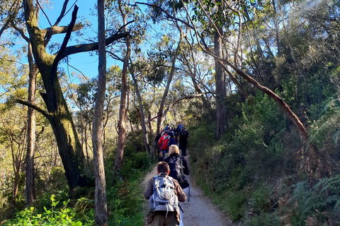 Self-Guided Waterfall Gully To Mount Lofty Hike From Adelaide - Darwin Holiday 7