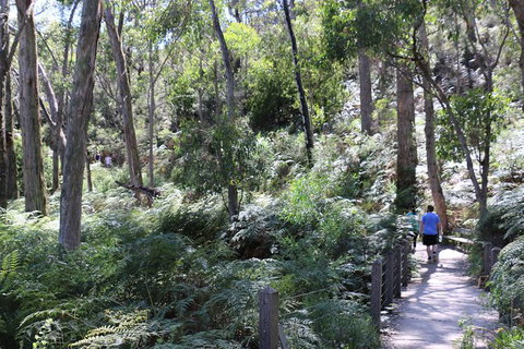 Self-Guided Waterfall Gully To Mount Lofty Hike From Adelaide - Darwin Holiday 3