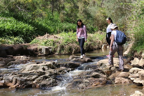 Small Group Bush Walk & BBQ With Wine Day Trip From Adelaide - Darwin Holiday 0