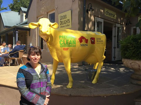 Adelaide Hills And Hahndorf Tour From Adelaide With Wine And Cheese Tasting - Darwin Holiday 2