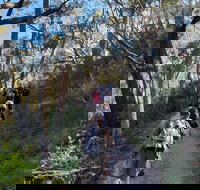 Mount Lofty Hike and Cleland Wildlife Park Day Trip from Adelaide - Darwin Holiday