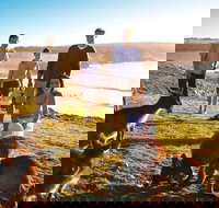 5-Day Adelaide and Kangaroo Island Tour Including Barossa Valley Wine Tasting - Darwin Holiday