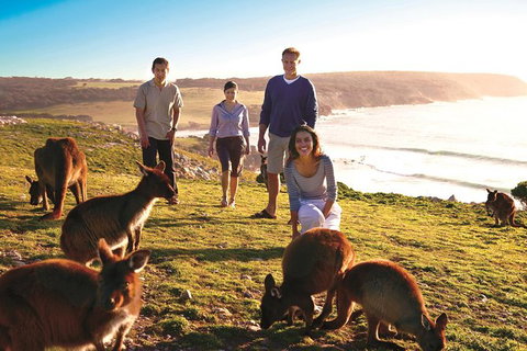 5-Day Adelaide And Kangaroo Island Tour Including Barossa Valley Wine Tasting - Darwin Holiday 0