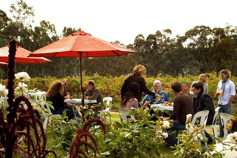 Clare Valley Intimate Winery Tour By Private Limo From Adelaide - Darwin Holiday 4
